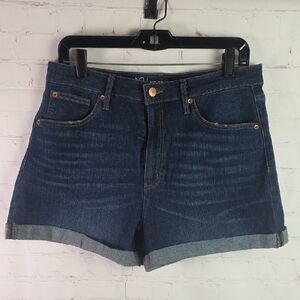 No Boundaries Dark Blue Jean Shorts